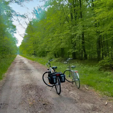 Cozy In Darlowo With Wifi Tatil Evi *