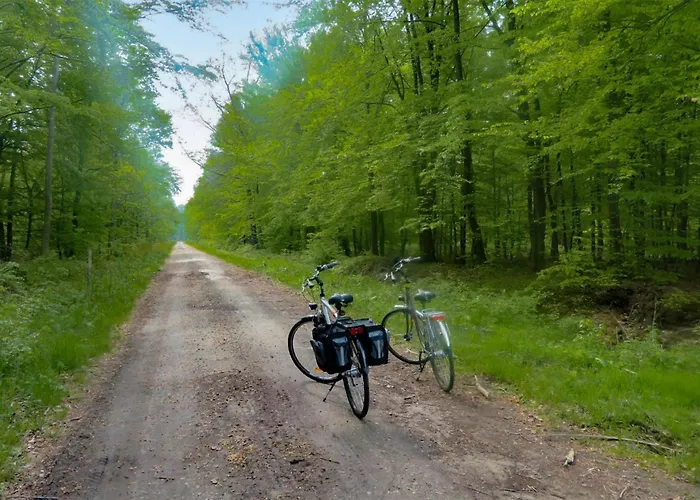 Cozy In With Wifi Сasa de vacaciones *